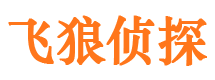 靖安市侦探调查公司